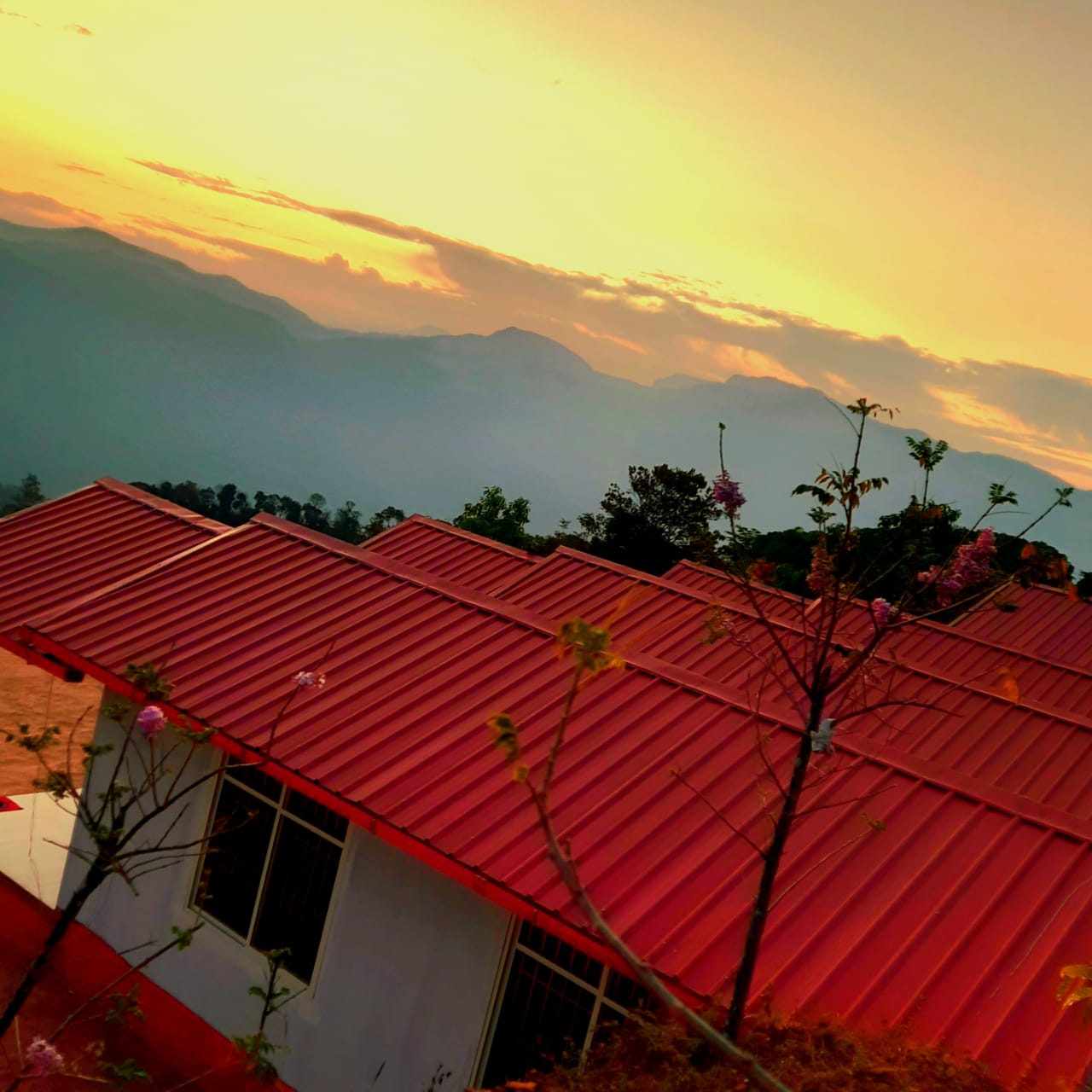 675282146c01b_WhatsApp Image 2024-12-06 at 10.09.30_7dc2aeb8.jpg